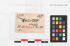 Etikett zu Bronzebrillenfibel (NHMW-PRAE-002253)